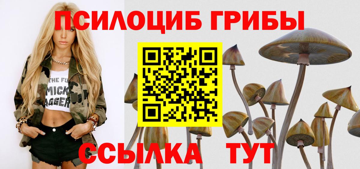 Псилоцибиновые грибы MAGIC MUSHROOMS Сергиев Посад